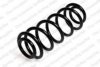 LESJ?FORS 4204227 Coil Spring